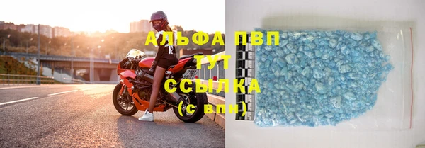 сатива Бородино