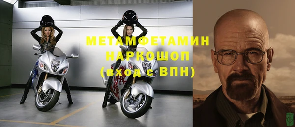 сатива Бородино