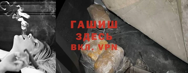 сатива Бородино