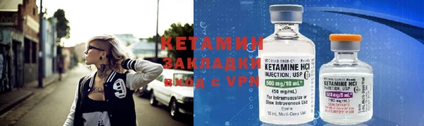 сатива Бородино