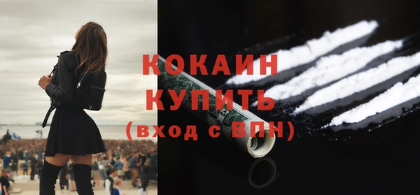 сатива Бородино