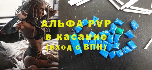 сатива Бородино
