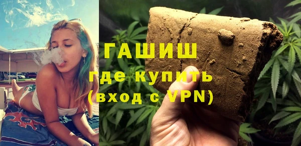 сатива Бородино