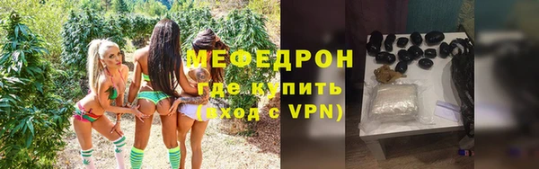сатива Бородино