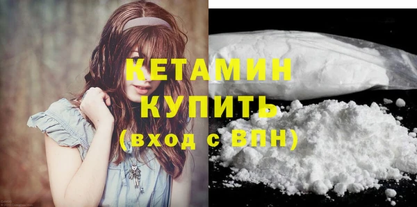 сатива Бородино