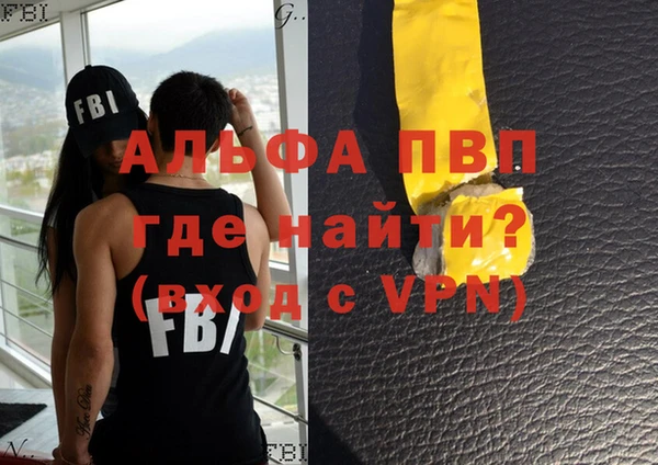 сатива Бородино