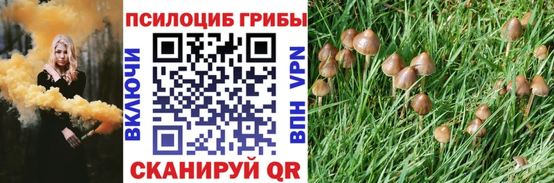 Псилоцибиновые грибы Psilocybe что такое наркотик Михайлов